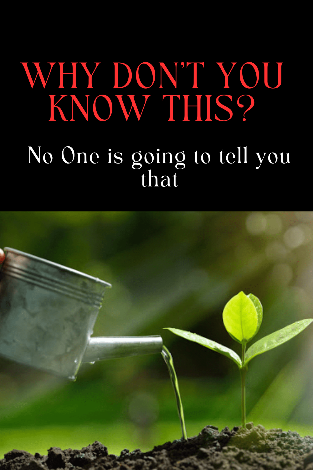 Why should you avoid processed foods and fast food? Discover the