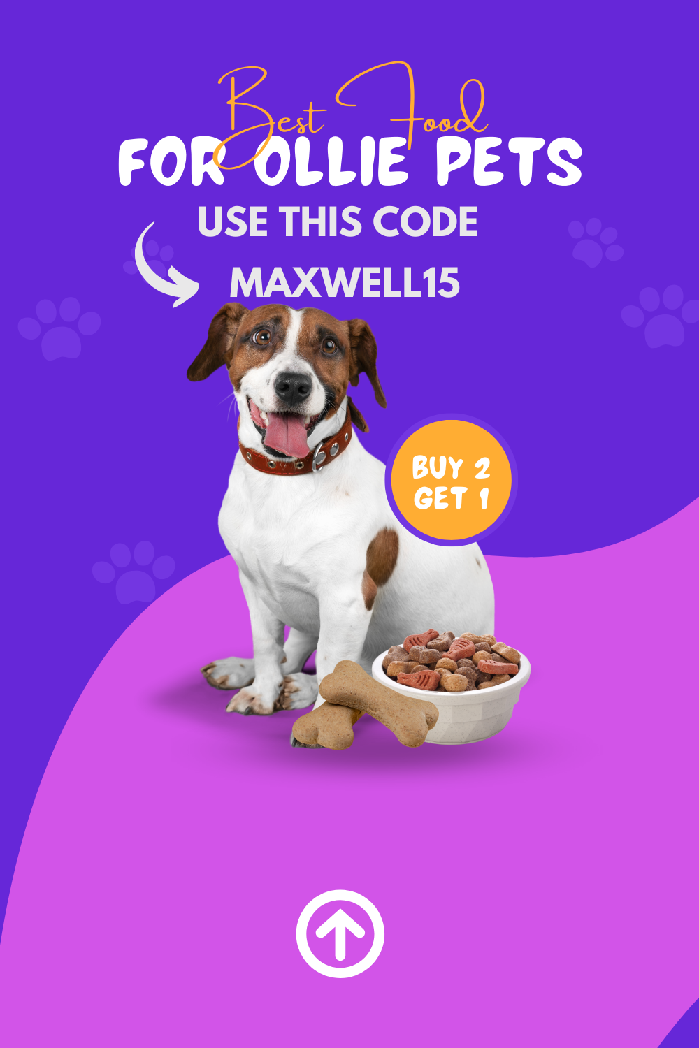 Ollie Pets Discount Codes For May 2024 — Coupontoaster Coupontoaster