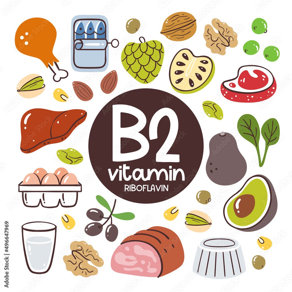 The Essential Functions of Vitamin B2 in the Body by Ankita Roychoudhury Feb, 2024 Medium