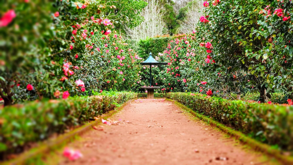 Exploring The Beauty And History of New Orleans’ Garden District | by ...