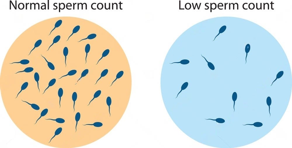 Gallery Detail: Ayurvedic Treatment For Low Sperm Count In Surat A Natural