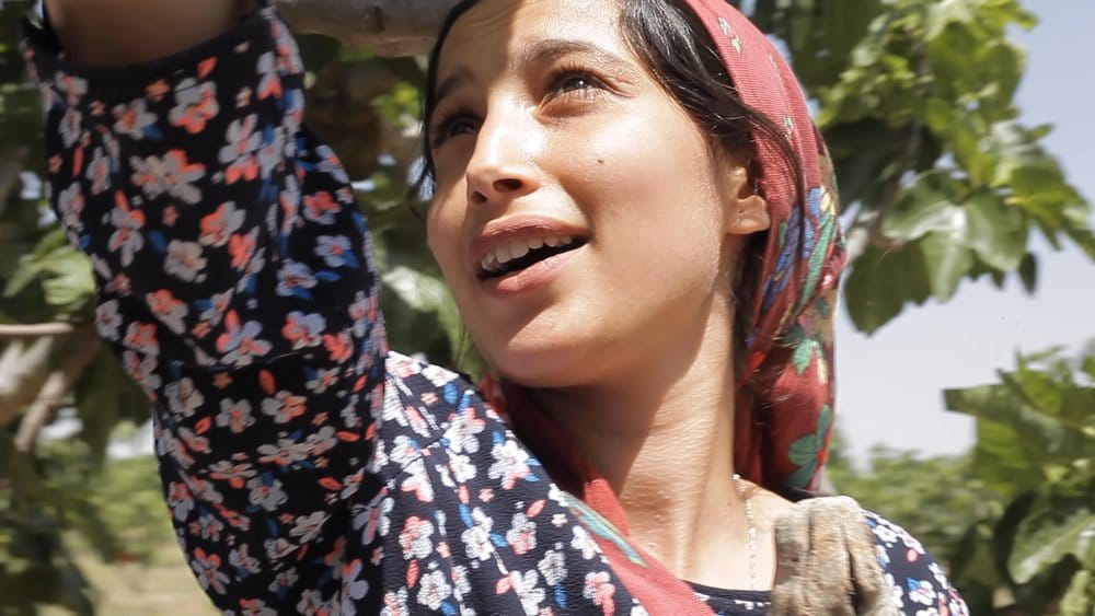 Ayvalık Film Festivali 6. Gün -”Under The Fig Trees” ve “Yaban”