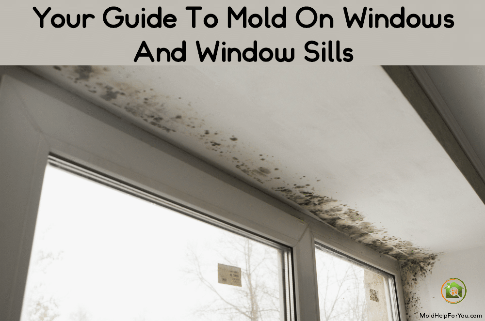 How To Prevent Mold Growth on Window Sills