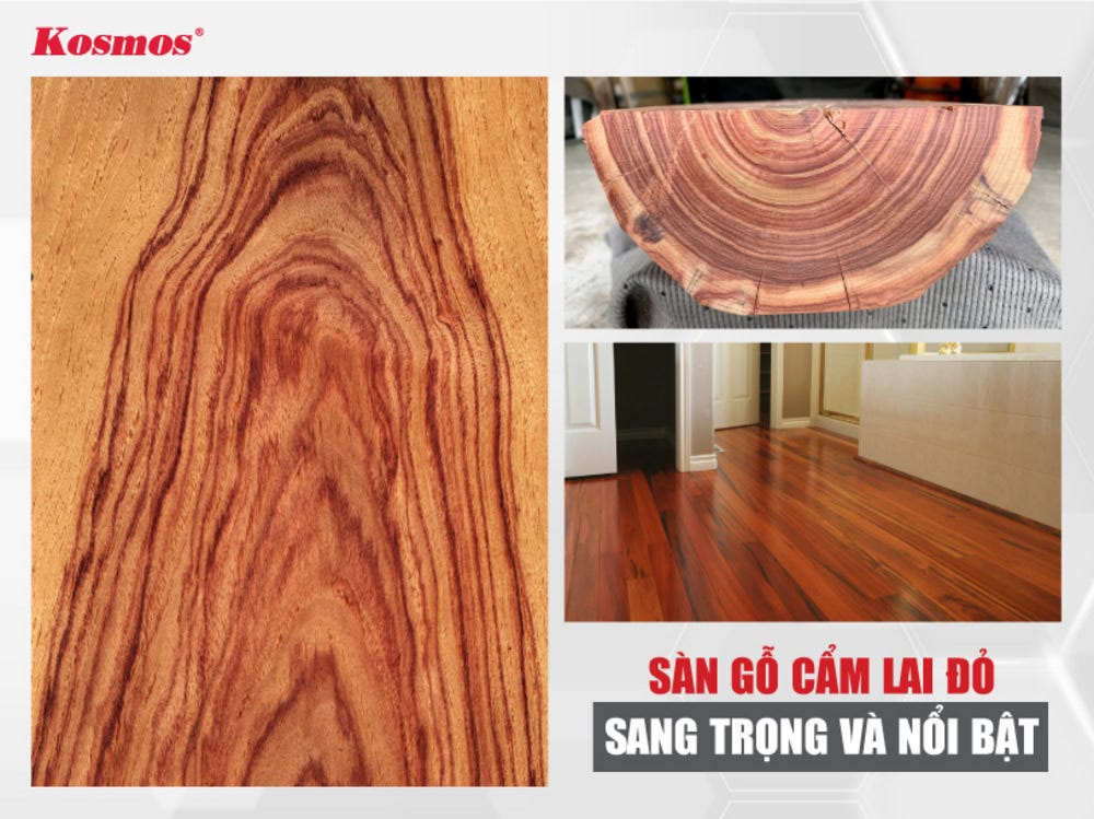Sàn gỗ Cẩm Lai: Đừng mua chỉ vì vân đẹp và mùi thơm