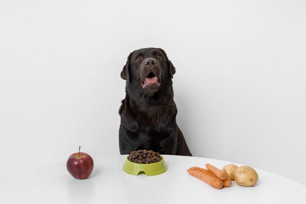 Can Dogs Eat Pecans?. Pecans are a delicious and nutritious… by