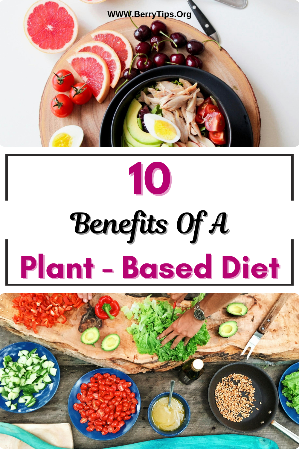 10 Benefits Of A Plant Based Diet By Berrytips Org May 2024 Medium