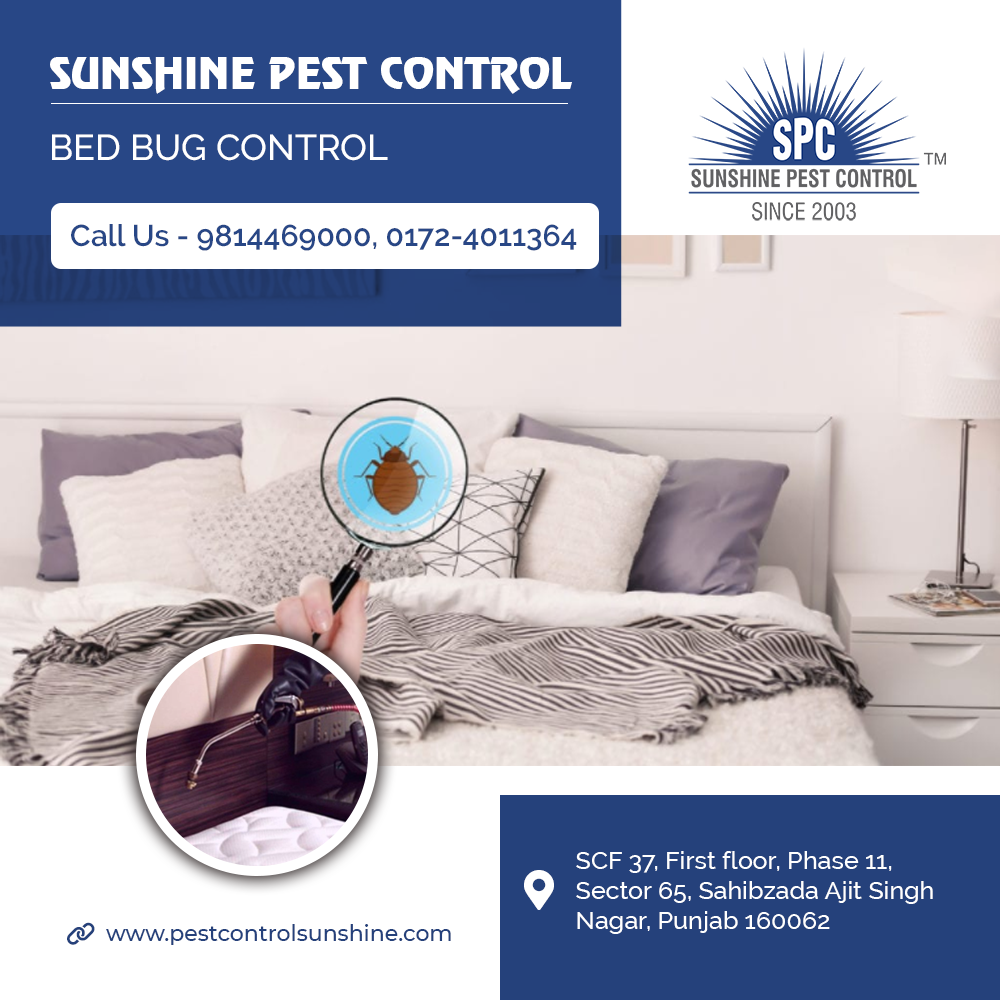 Pest Control near me for Bed Bugs Bed Bugs Control Services