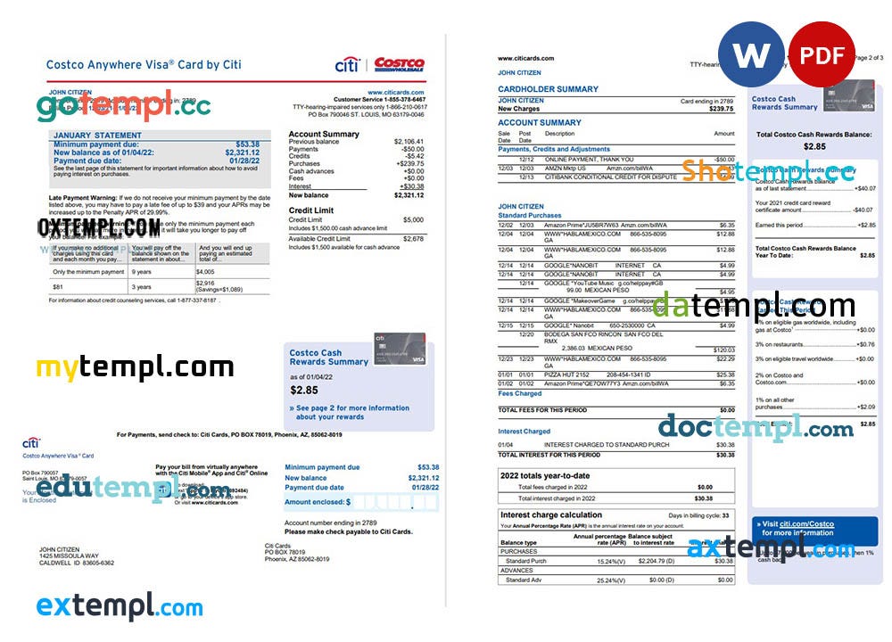 USA Costco Anywhere Visa Card by Citi bank statement, Word and PDF