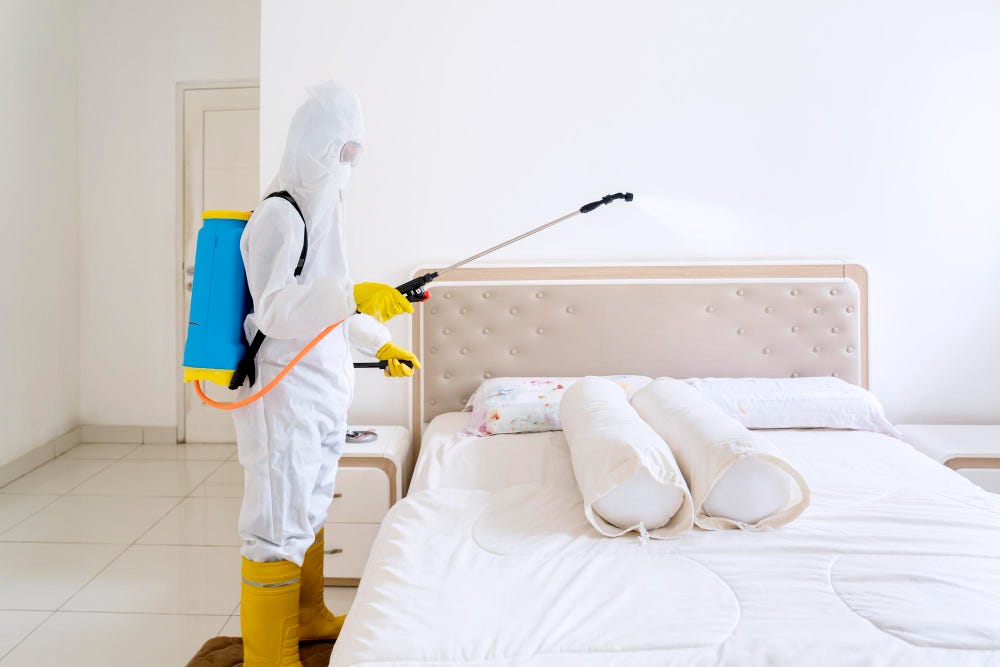Can Bed Bugs Survive Extreme Temperatures, And How Does It Impact Pest