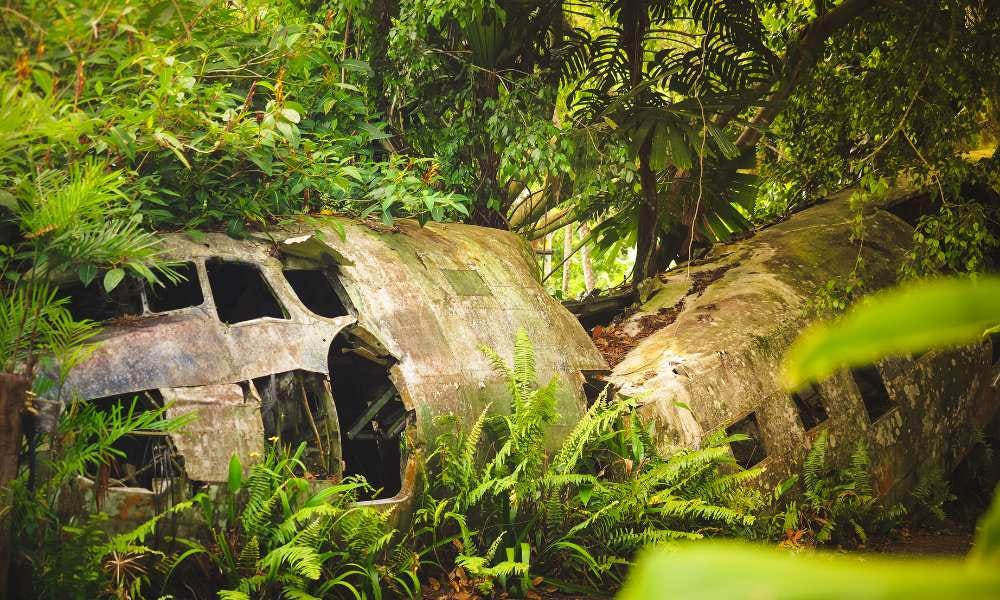 The Dangers Of Flying In The Amazon Rainforest by Kimberly Carpenter