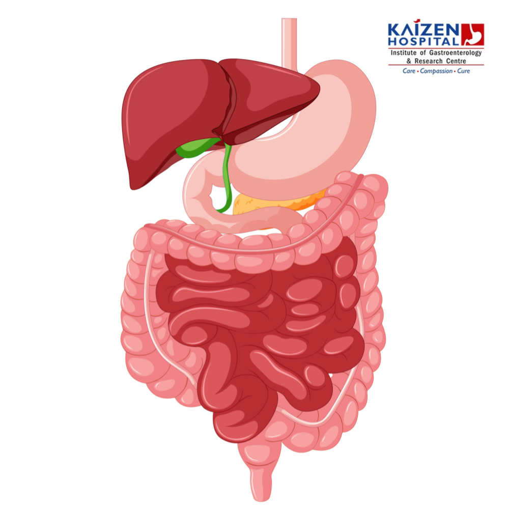 What is gastroenterology treatment? Disorders affecting the digestive