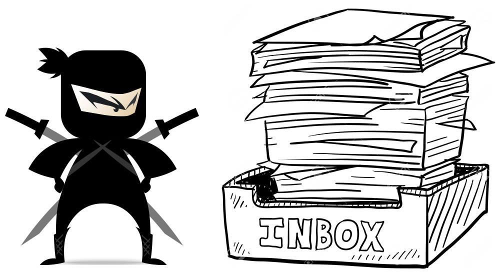 Everything You Wanted to Know About Ninjas