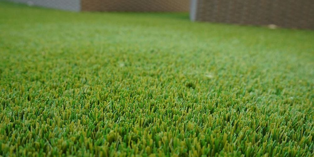 How To Fix Standing Water in Your Yard?