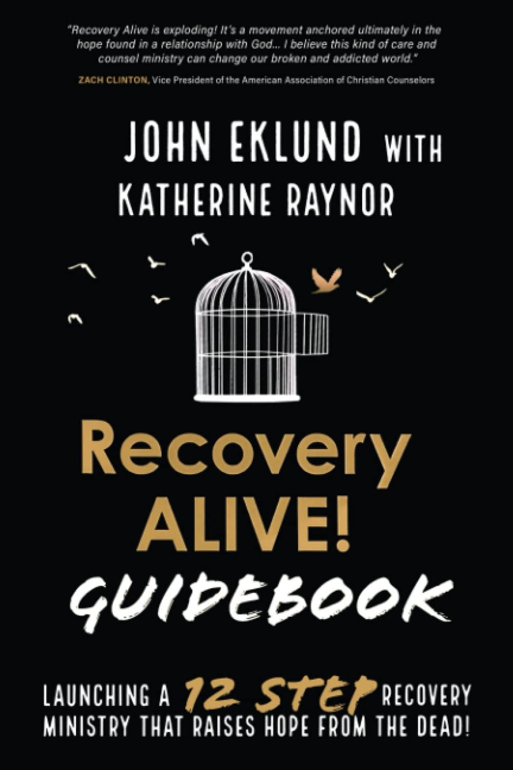 [EPUB]-Recovery ALIVE! Guidebook: Launching a 12 Step Recovery Ministry ...