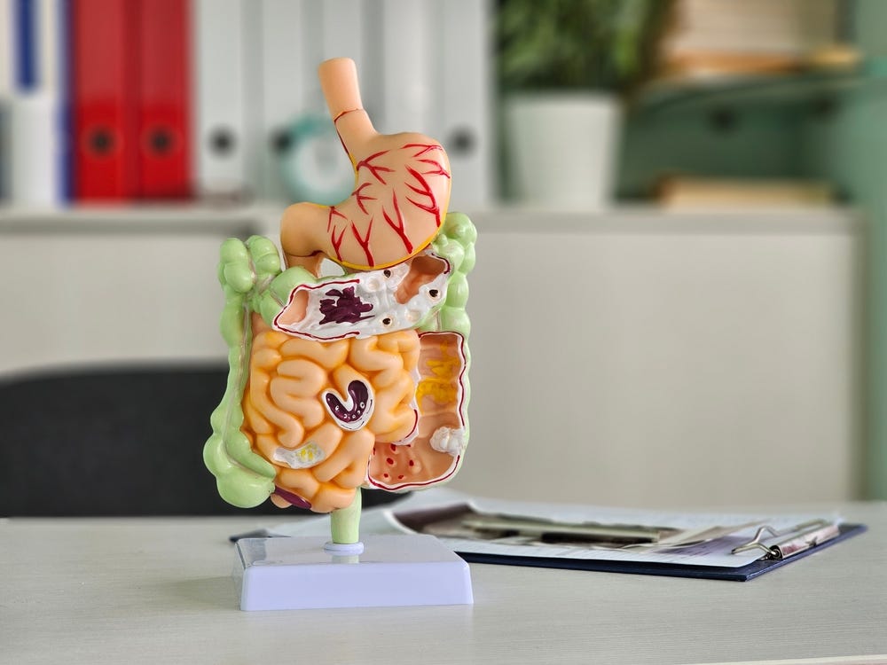 Why Your Digestion Slows Down During the Rainy Season (And How to Keep It Healthy)