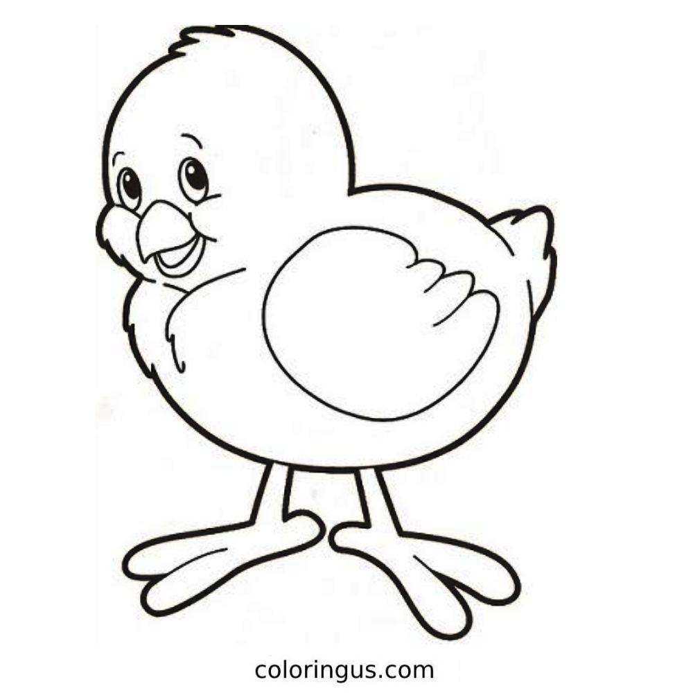 Baby Chicks coloring pages Free Printable Pictures Coloring Us Medium