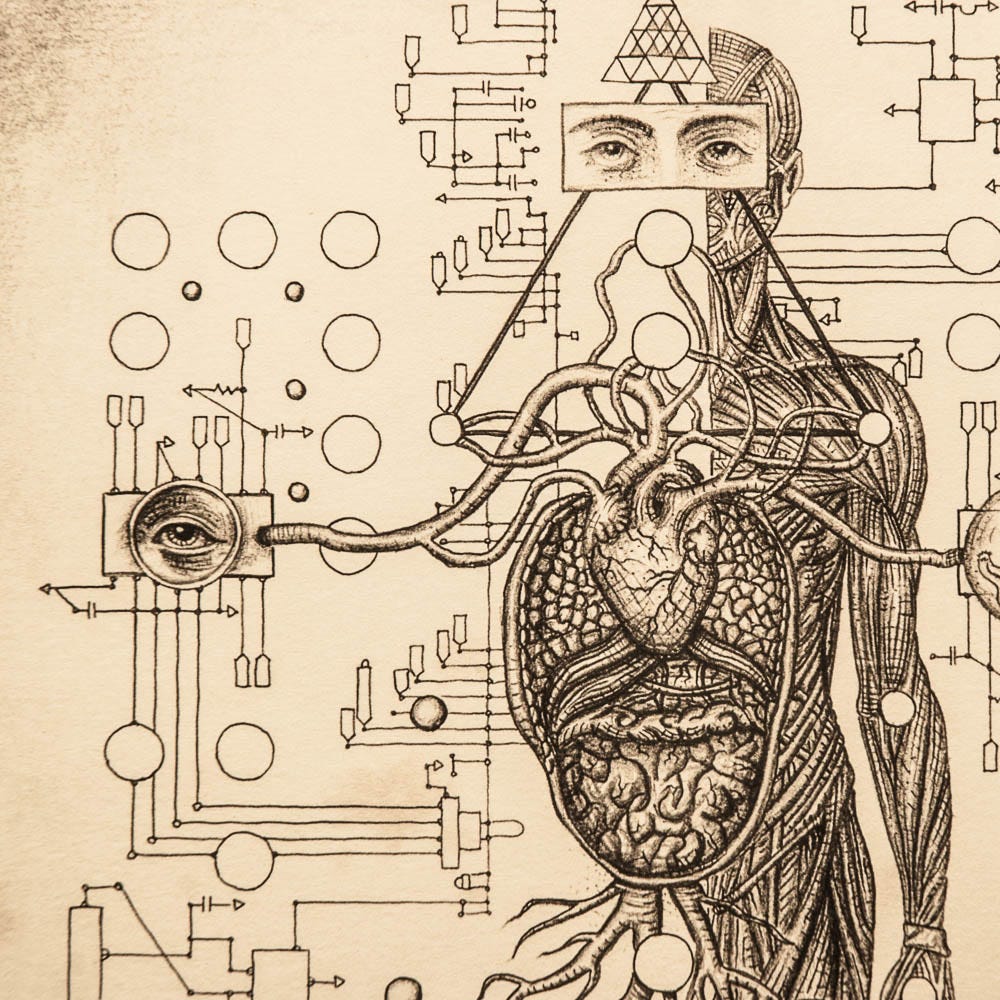 O que significa sonhar com cobra cascavel? - abstracta - Filosofia,  Sociologia e Psicologia