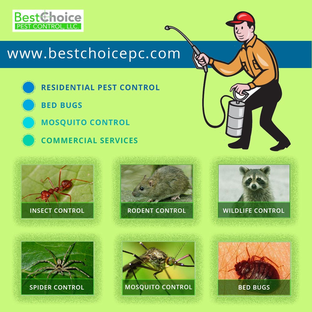 Best Pest Control Salt Lake City