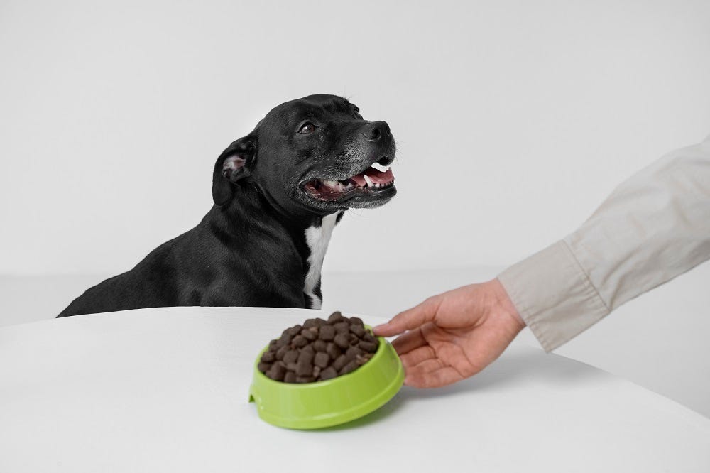 Ananda Professional’s Soft Chews: The Ultimate Solution for Pet Stress Relief and Joint Health