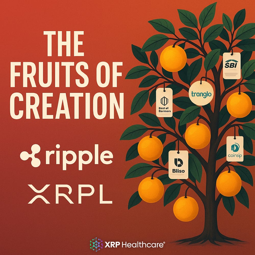 Ripple & XRPL: Ecosystem Growth Through Innovation | XRP Healthcare