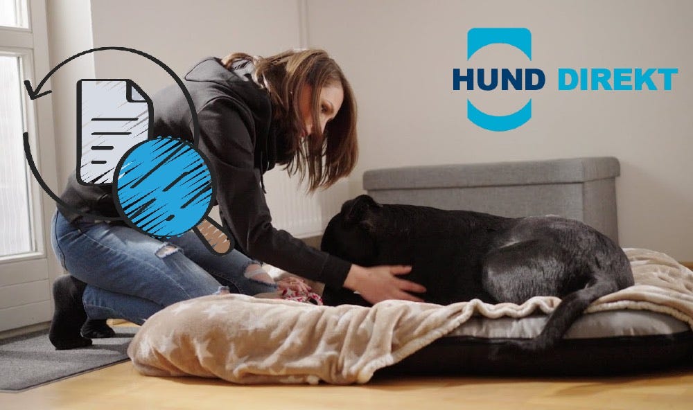 Gothaer Hundeversicherung: Leistungen, Tarife und Erfahrungen