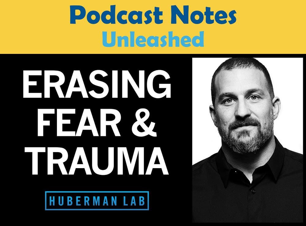 Erasing fears and traumas based on the modern neuroscience of fear