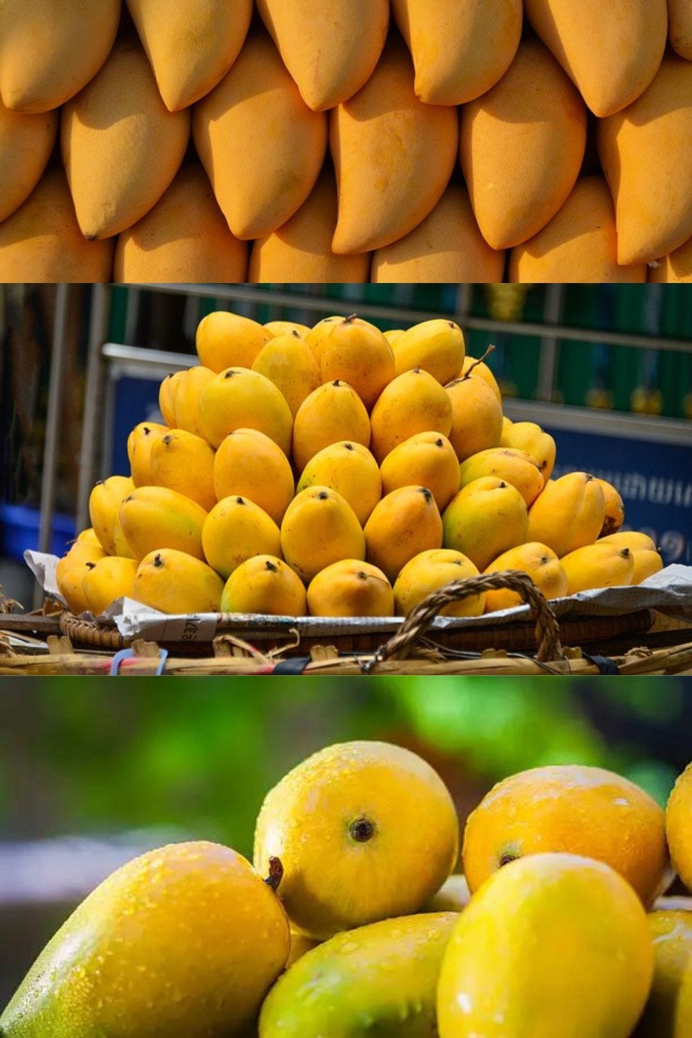 “Mango Benefits” Mango Nutrition ,”Mango Health, Mango Vitamins, Mango Fruit. by