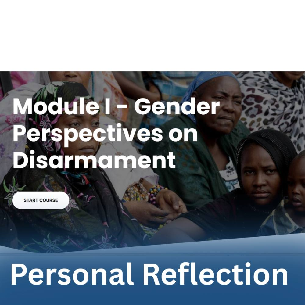 Gender Perspectives on Disarmament