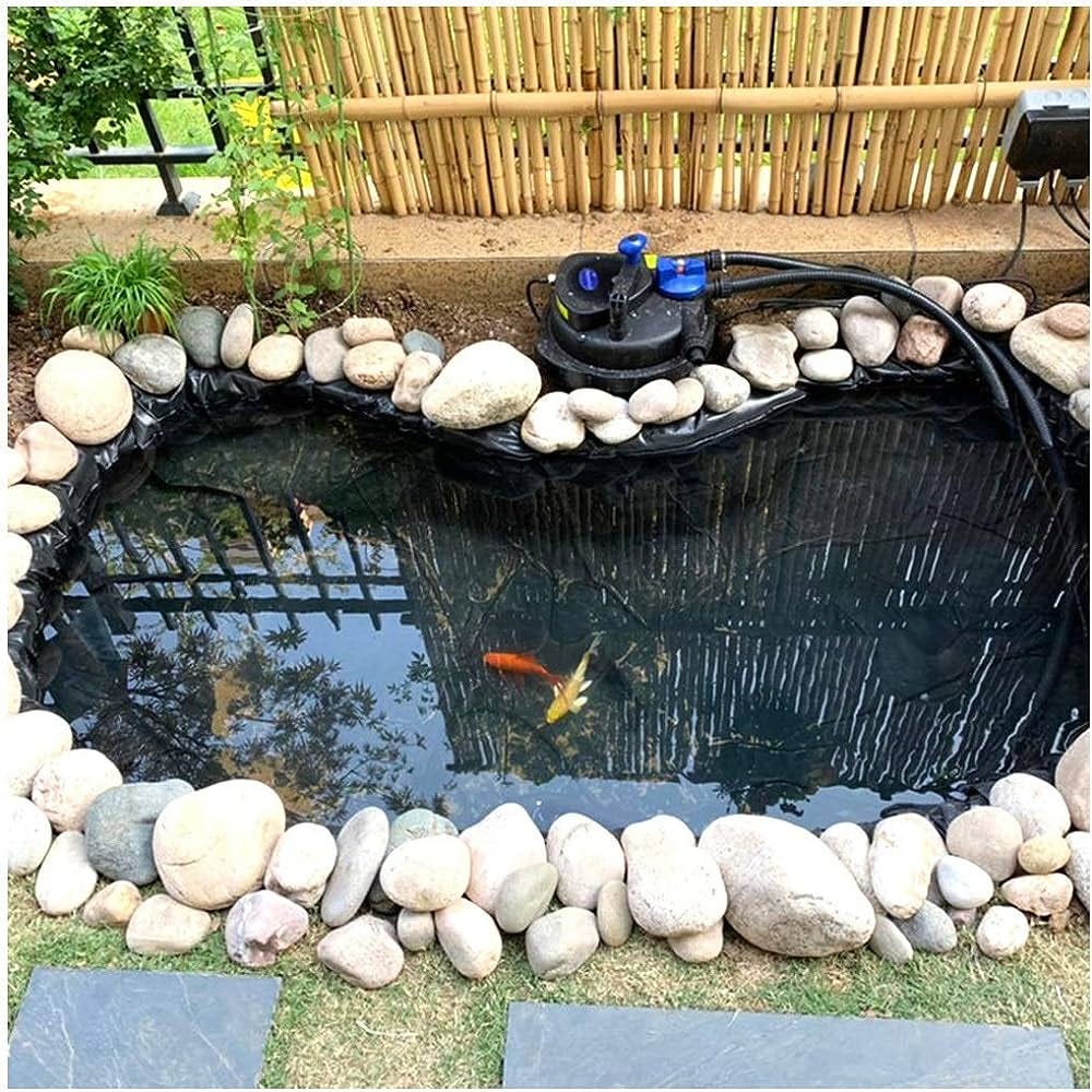Fish Pond Coating Preserving the Beauty of Your Aquatic Haven by