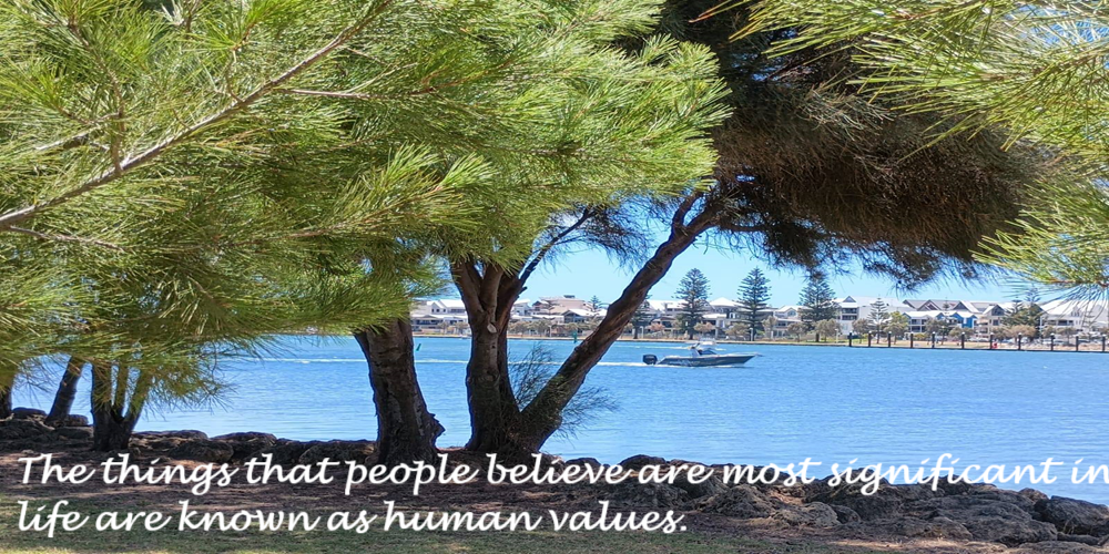 People Are Valued For Their Humanity
