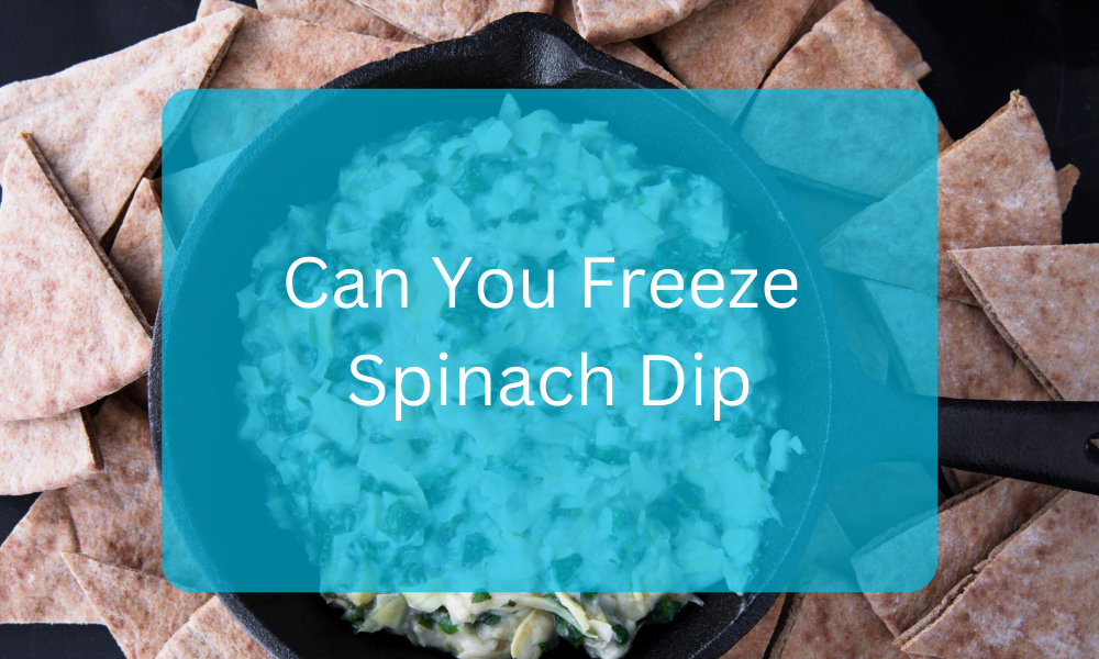 Can You Freeze Spinach Dip And How To Freeze - Nadiamughal - Medium