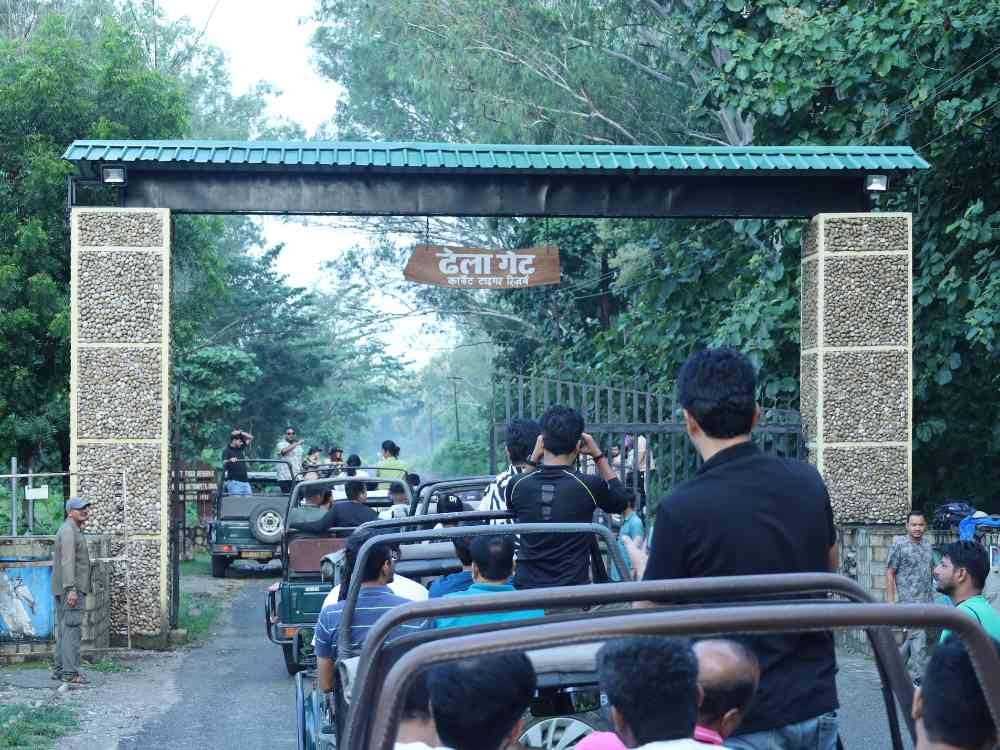 Jhirna Zone Jeep Safari Booking Near Ramnagar — Open All Year (Jim Corbett)