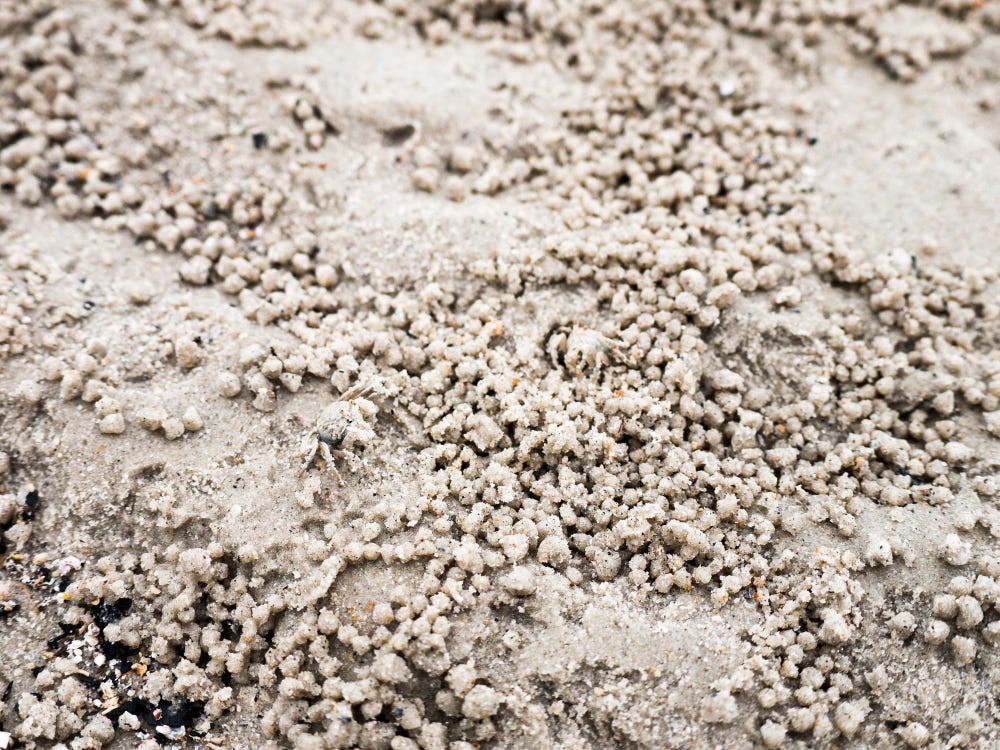 Transform Your Outdoor Spaces with Exposed Aggregate Concrete Brisbane