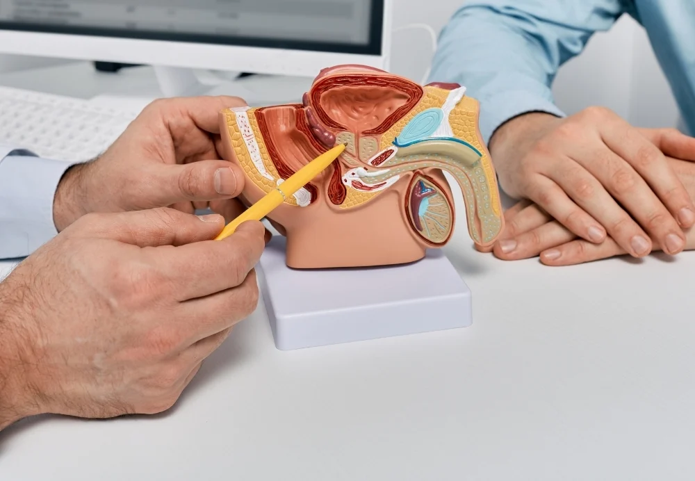 Benígna hyperplázia prostaty (BHP): príznaky, príčiny, diagnostika a moderné metódy liečby