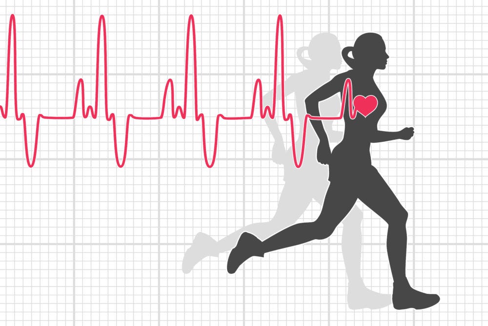 Heart Rate: All You Need To Know. When it comes to fitness, the intensity…  | by AutomationLinks | Medium