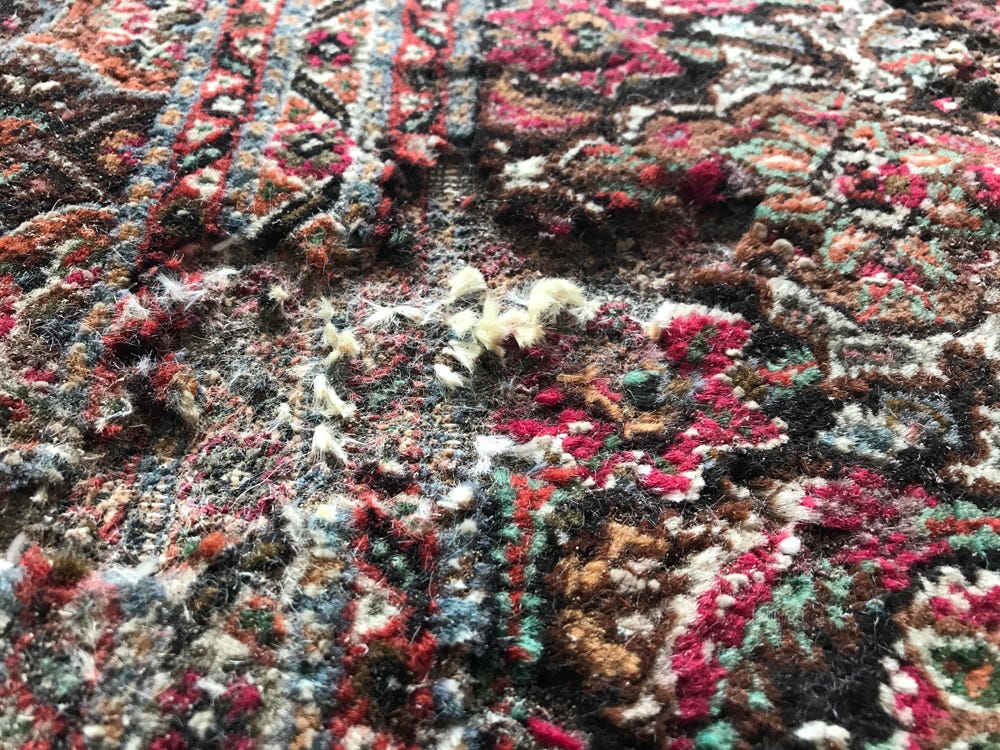Proper Care of Oriental Rugs. Those who own an Oriental rug must know