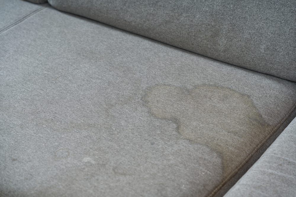 Where Do Bed Bugs Come From?