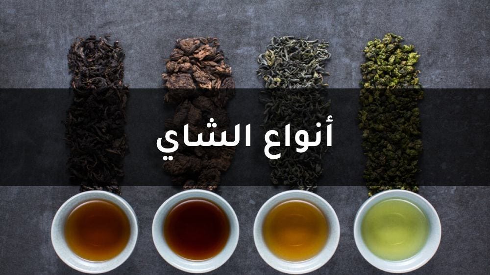 دليلك إلى أنواع الشاي. الشاي الأسود | by قتيبة الباشا | Medium