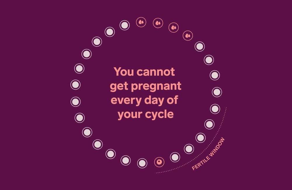 Fertility Window: Meaning and What You Need to Know