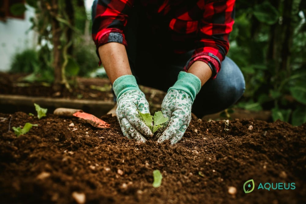 Modern soils are struggling with one of the most overlooked problems in crop production: disrupted…