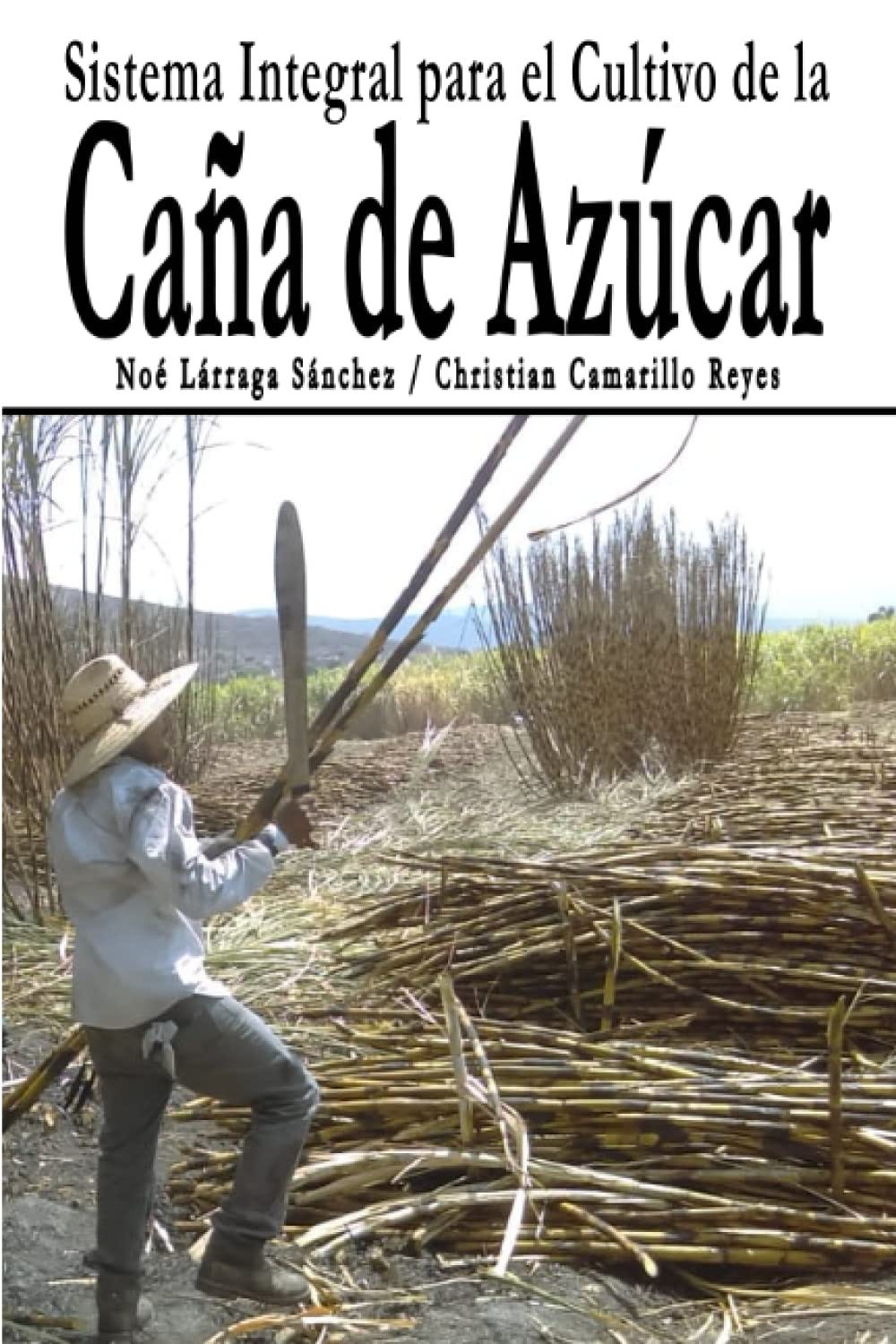 Técnicas De Producción De Cultivos Hortícolas (Spanish Edition