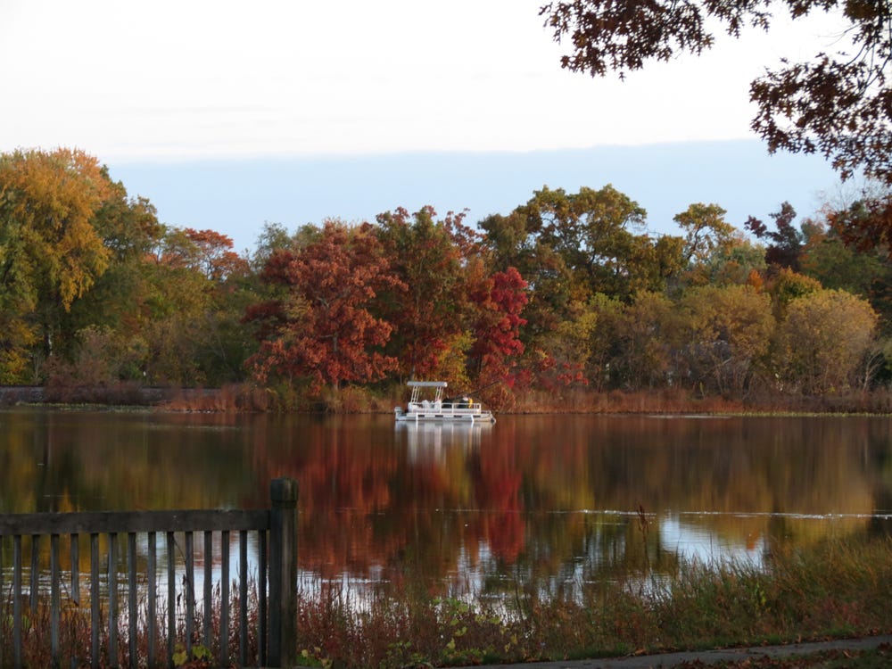 Photography by Dawn Ulmer, the author