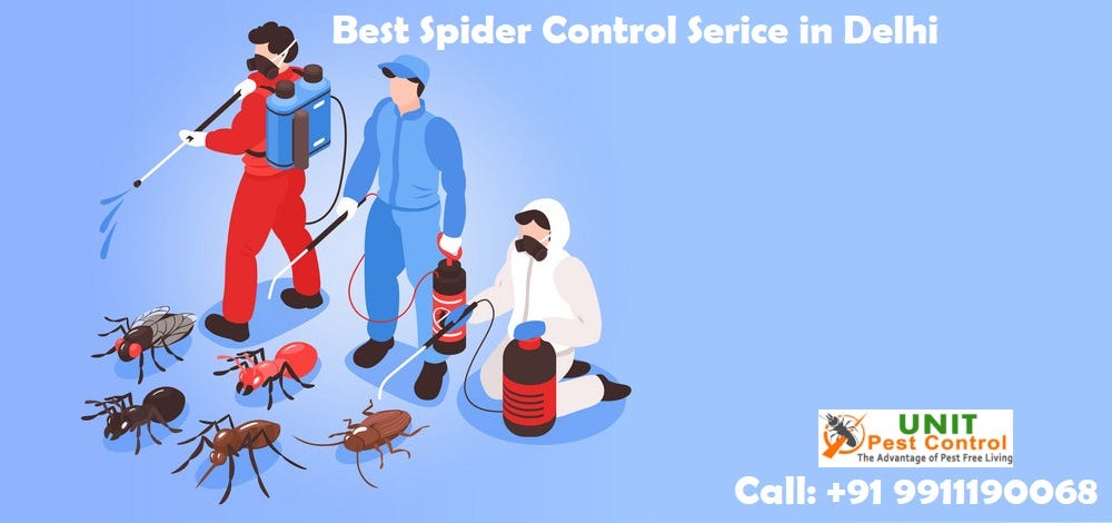 Pest Control Fresno