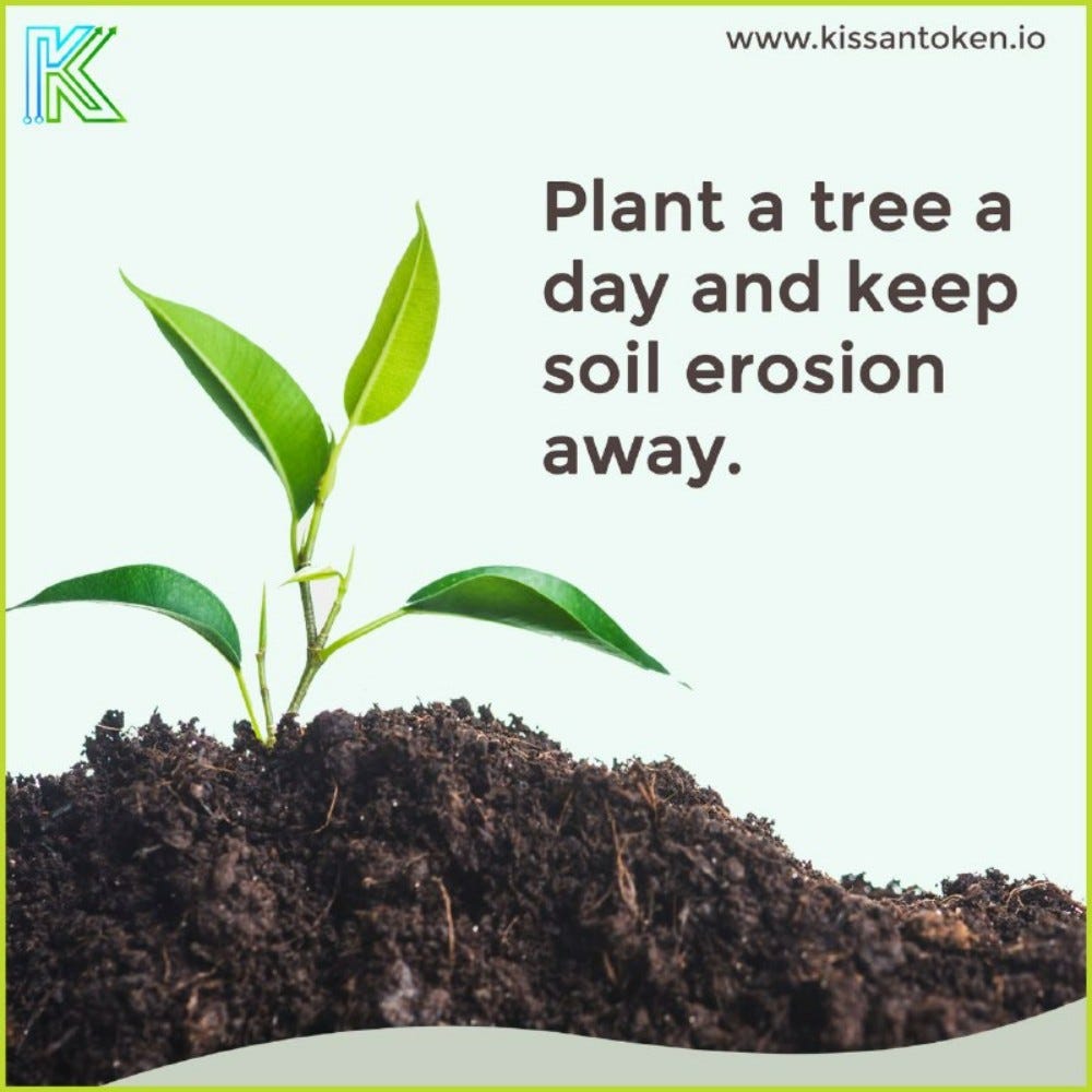 Plant a tree a day and keep soil erosion away by KSN Token Medium