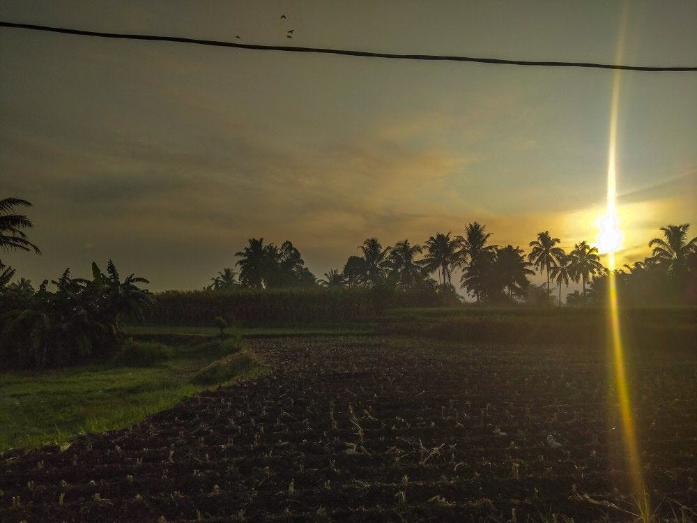 GAMBAR PEMANDANGAN MATAHARI TERBIT DI PAGI HARI Terbitnya matahari