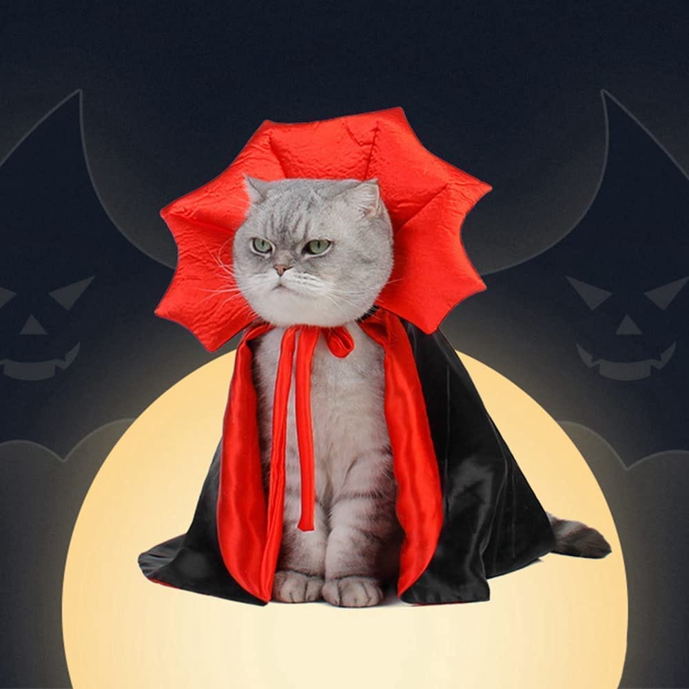 Best Halloween Costume for Cats.. Come up with a creative Halloween