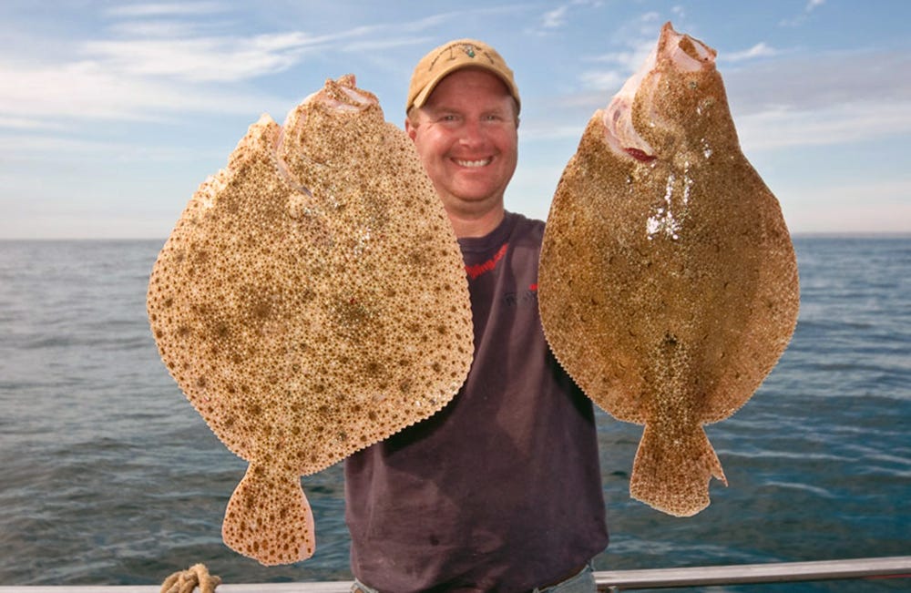Turbot vs. Halibut Exploring the Differences and Benefits by