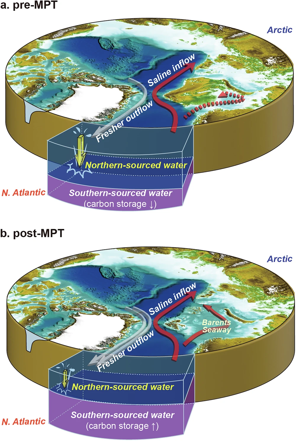 Conceptual model of glacial ocean circulation between the Arctic and North Atlantic oceans across the Mid-Pleistocene Transition (MPT). a before the MPT and b after the MPT. The progressive opening of the Barents Seaway across the MPT enabled vigorous outflow of fresh Arctic water into the North Atlantic, facilitating the expansion of carbon-rich southern-sourced deep waters. This oceanographic reorganization enhanced carbon sequestration, contributing to lower glacial pCO2 levels after the MPT. The reconstructed geomorphology of the Eurasian Arctic region at ~2.0 Ma was used to represent pre-MPT conditions when the Barents Seaway remained closed — Jang et al., 2026