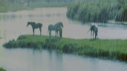 Andrei Rublev: What it Teaches Me About Beauty | by Max Bittner Olsthoorn | Medium