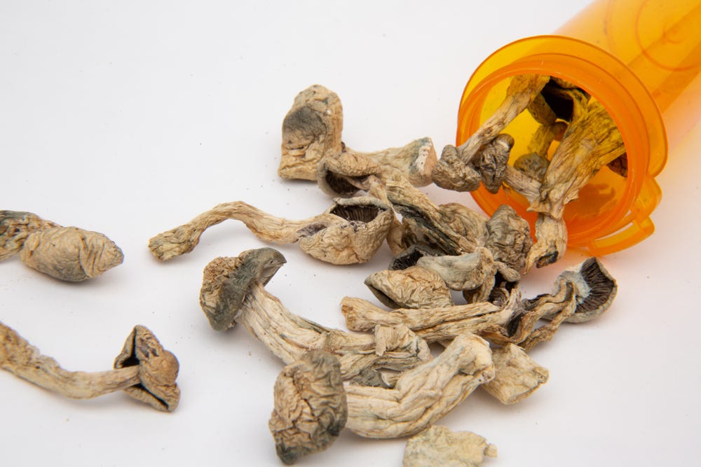 Long-Term Effects of Shrooms